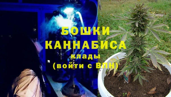 спиды Зеленокумск